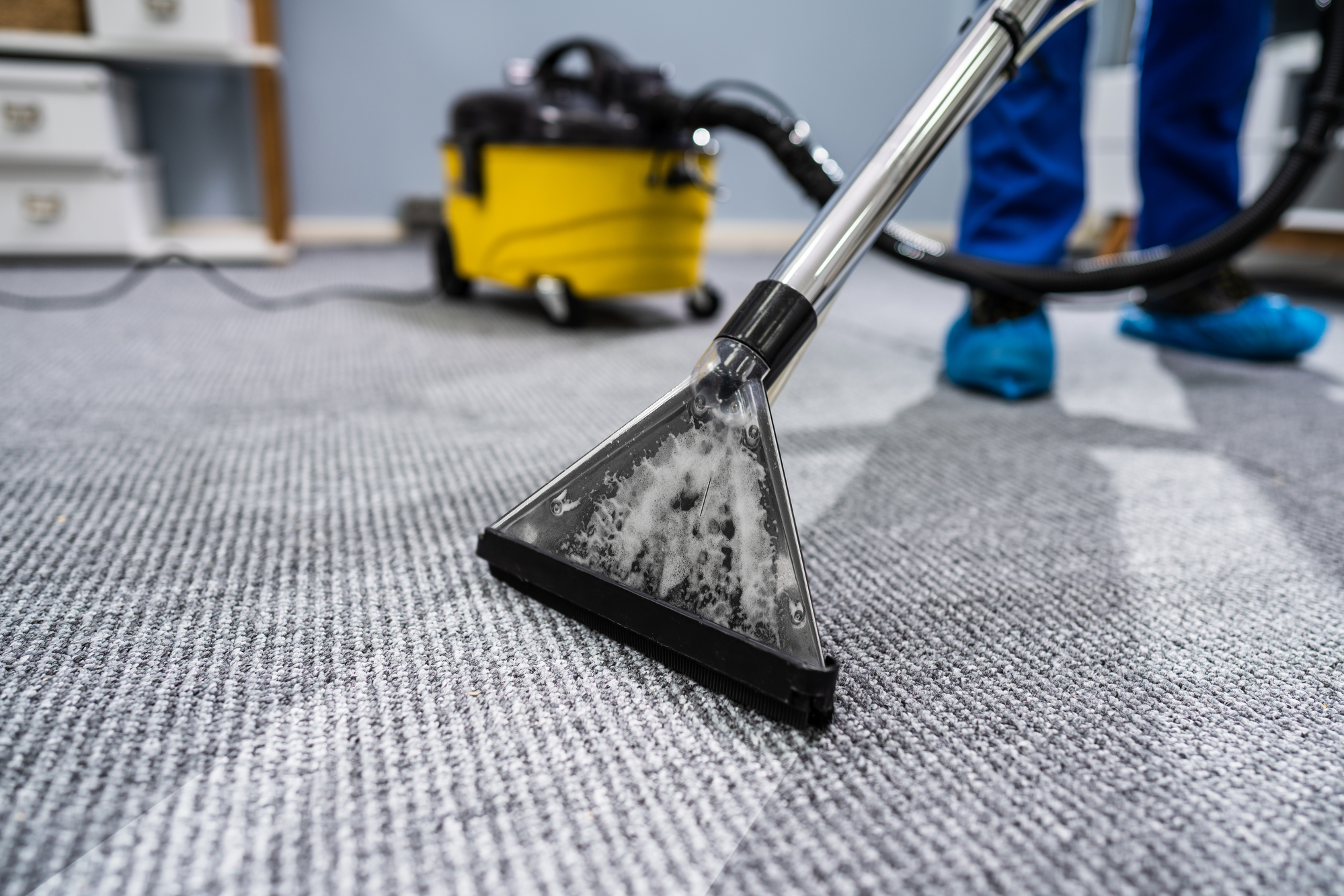job from a carpet cleaning lead